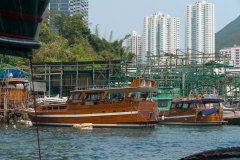 DSC01487.jpg