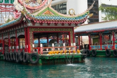 DSC01495.jpg