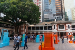 DSC01503.jpg