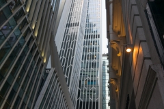 DSC01517.jpg