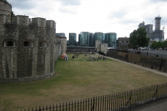 IMG_1410_13182.jpg