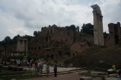 DSC04265_130181.jpg