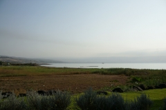 DSC06894.jpg