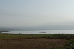 DSC06895.jpg
