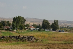 DSC06918.jpg