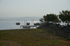 DSC06920.jpg