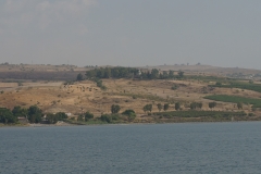 DSC06948.jpg