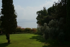 DSC06990.jpg