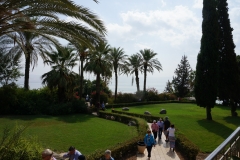 DSC07005.jpg