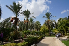 DSC07008.jpg