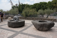 DSC07036.jpg