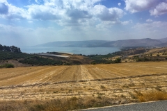 IMG_0436.jpg